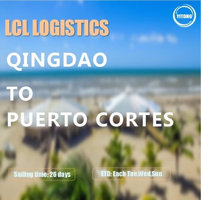 ISEA LCL International Shipping Via Sea From Qingdao To Puerto Cortes Honduras