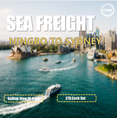 WIFFA China To Australia Sea Freight Services From Ningbo To Sydney Each Sat