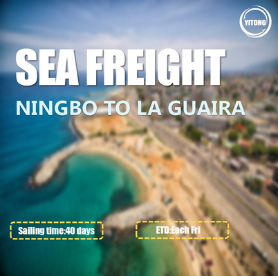 Ningbo To La Guaira Venezuela Sea Freight Logistics Services 40 Days