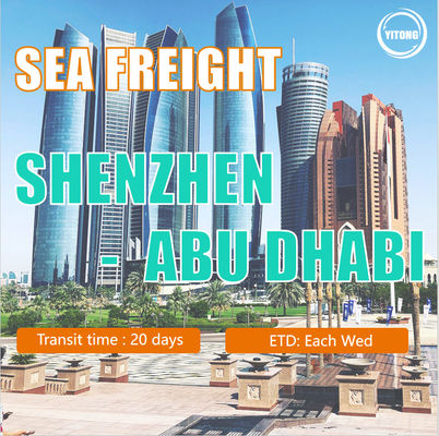 Professional Sea Freight Logistics providing direct line shipments from Shenzhen Shanghai and other ports to Abu Dhabi