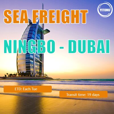 19 Days International Sea Freight Logistics From Ningbo China To Dubai UAE