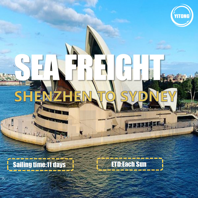 WIFFA China To Australia Sea Freight Services From Shenzhen To Sydney Fast Transit Time