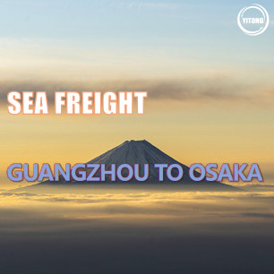 4 Days International Sea Freight Logistics From Guangzhou China To Osaka Japan