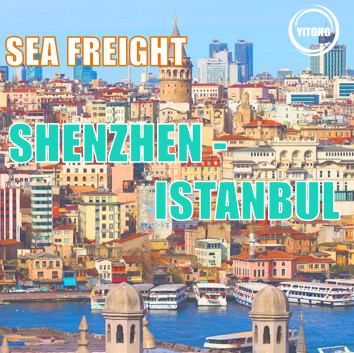 25 days International Sea Cargo Shipping Logistics  From Shenzhen To Istabul